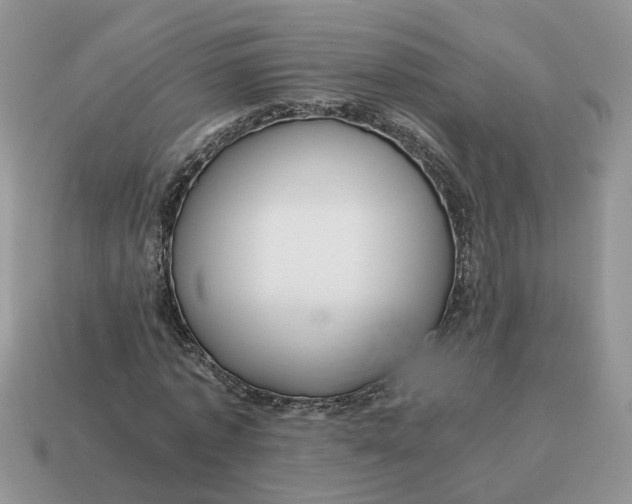 X0000114590773200911091256