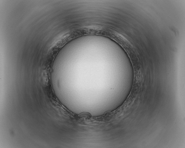 X0000114590774200911091256