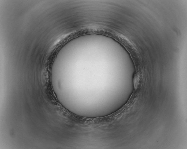 X0000114590776200911091256