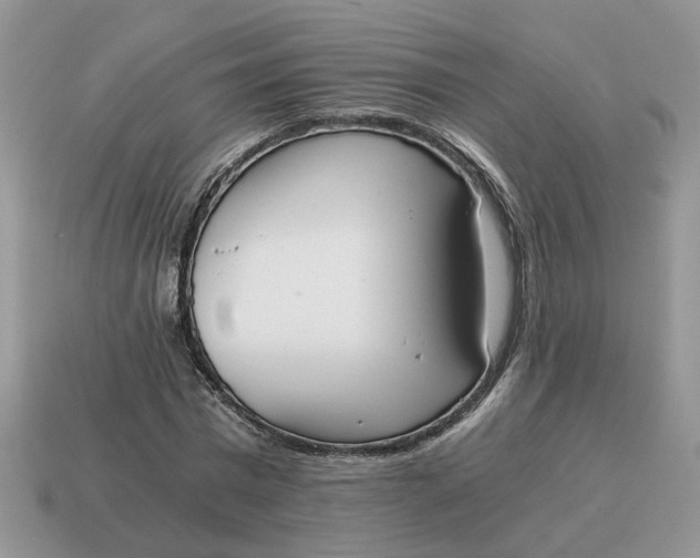 X0000114590777200911091256