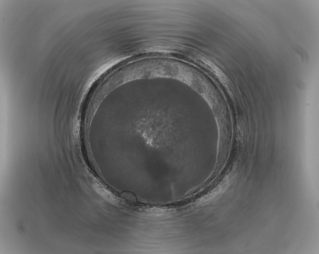 X0000114590779200911091256