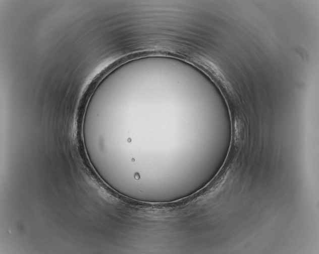 X0000114590780200911091256