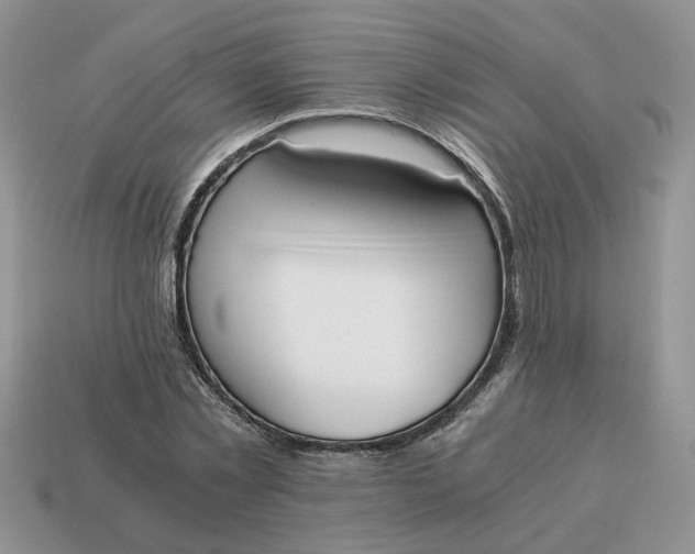 X0000114590781200911091256