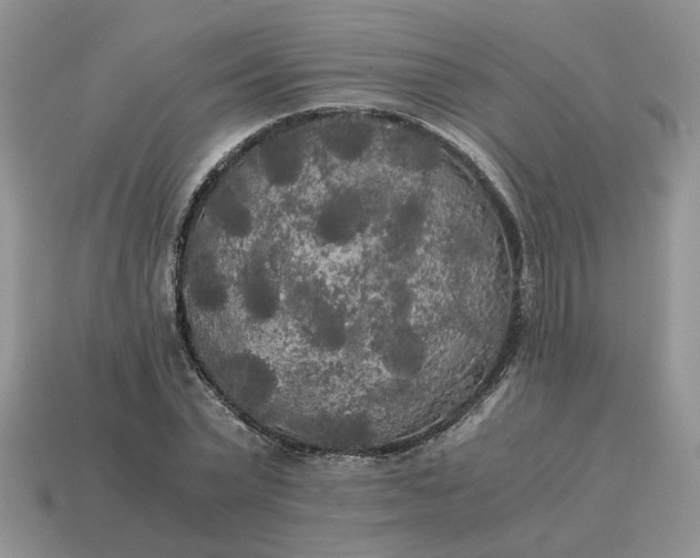 X0000114590783200911091256