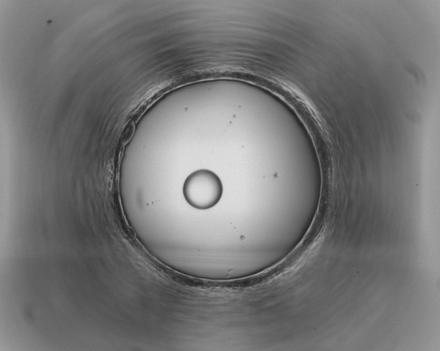 X0000114590785200911091256