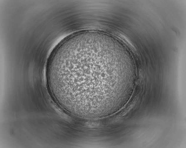 X0000114590788200911091256