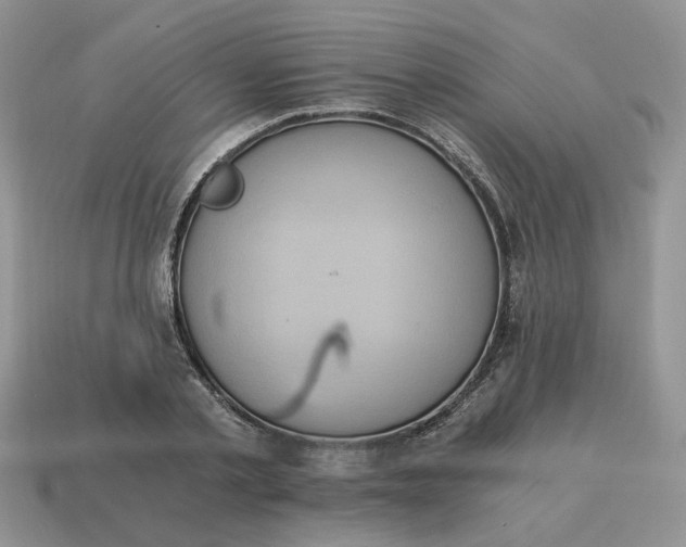 X0000114590789200911091256