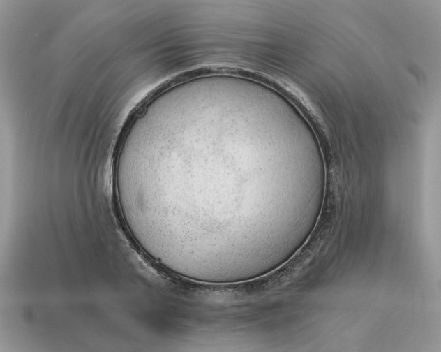 X0000114590791200911091255