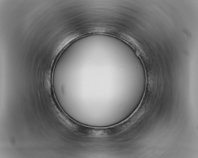 X0000114590794200911091255