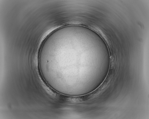 X0000114590795200911091255