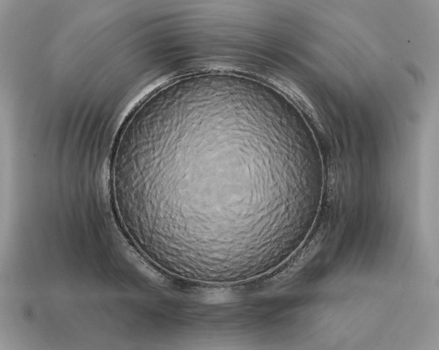 X0000114590798200911091255