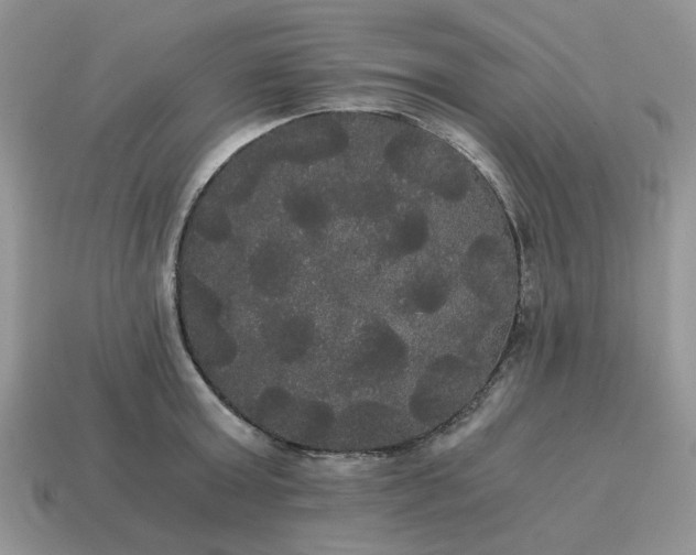 X0000114590803200911091255