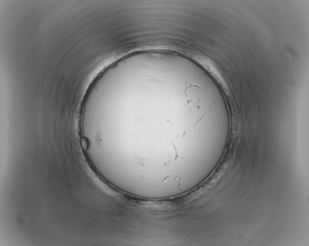 X0000114590805200911091255