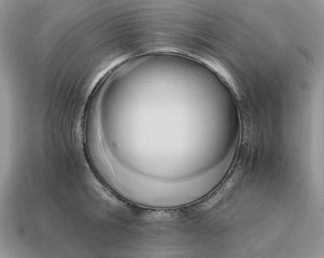 X0000114590806200911091255