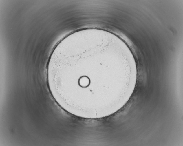 X0000114590807200911091255