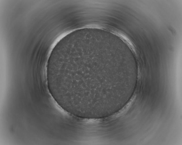 X0000114590808200911091255