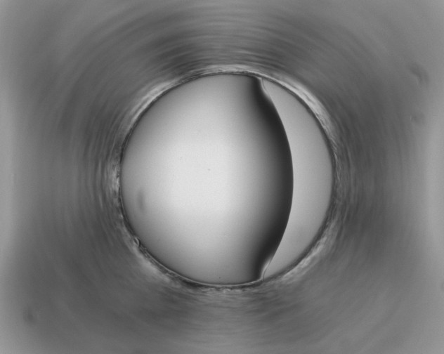 X0000114590809200911091255