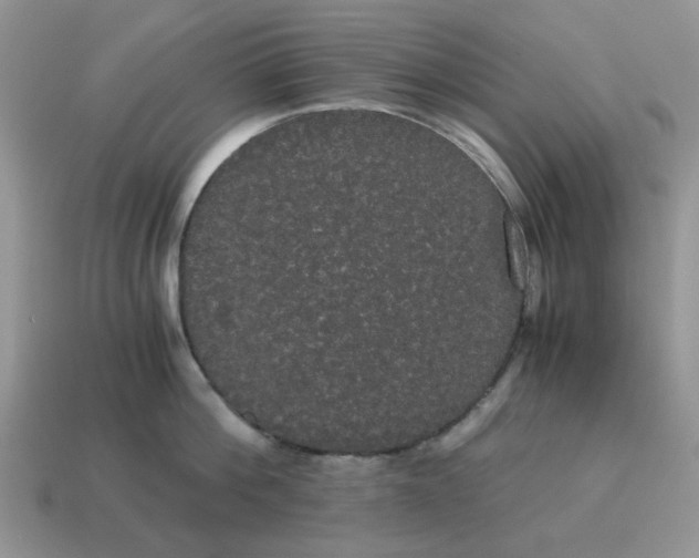 X0000114590812200911091255