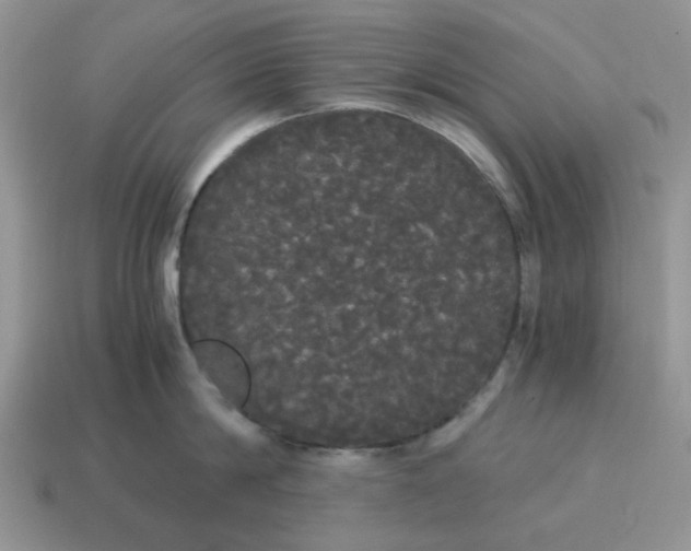 X0000114590814200911091255