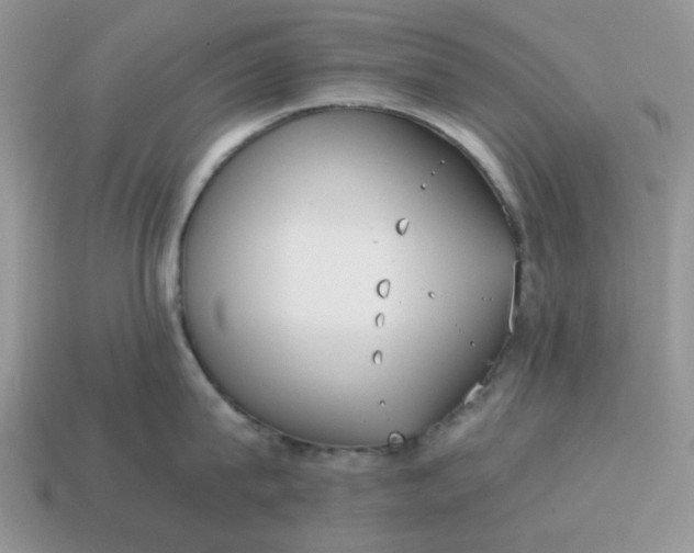 X0000114590815200911091255