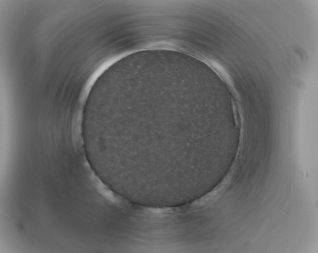 X0000114590816200911091255