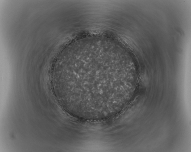 X0000114590817200911091255