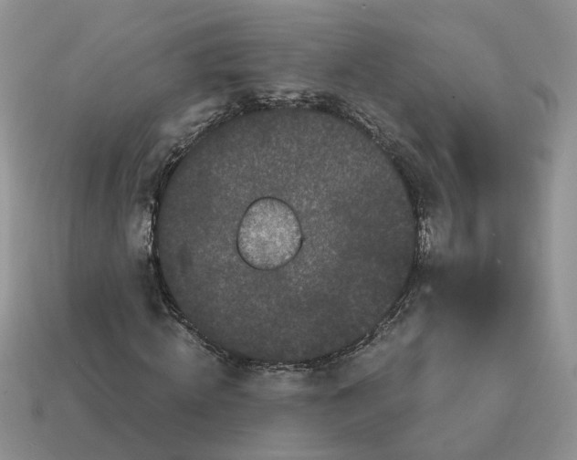 X0000114590820200911091255