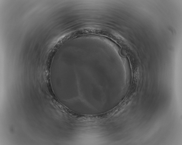 X0000114590822200911091255