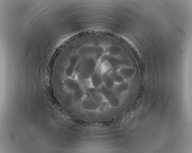 X0000114590823200911091255