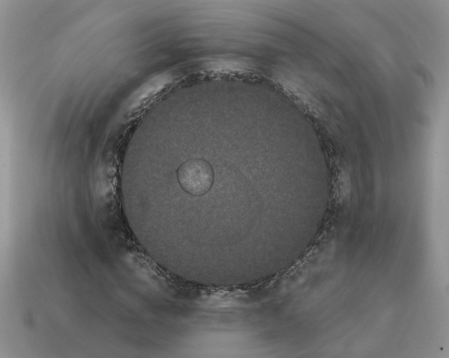 X0000114590824200911091255