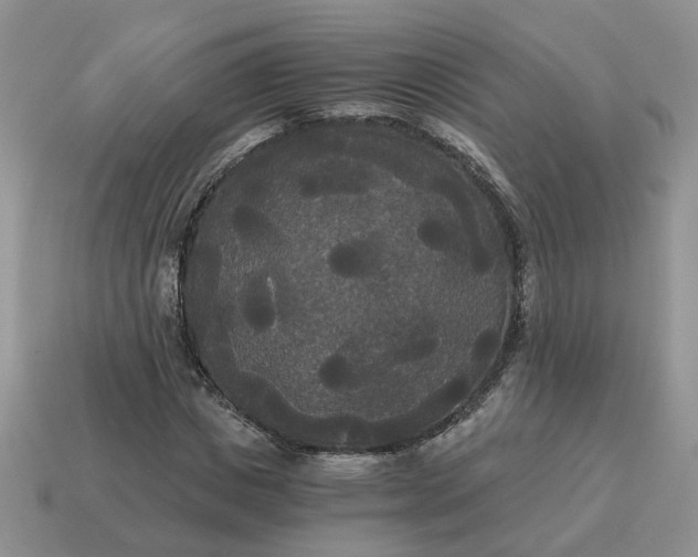 X0000114590825200911091255