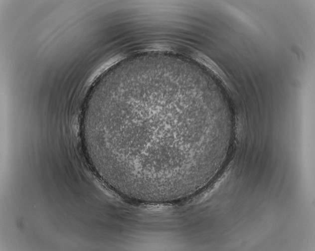 X0000114590826200911091255