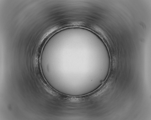 X0000114590827200911091255