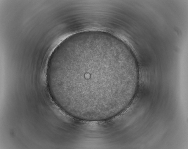 X0000114590828200911091255