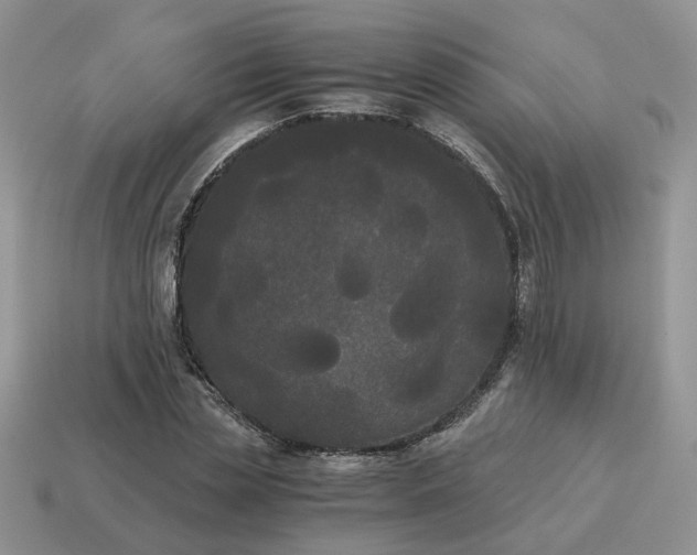 X0000114590829200911091255