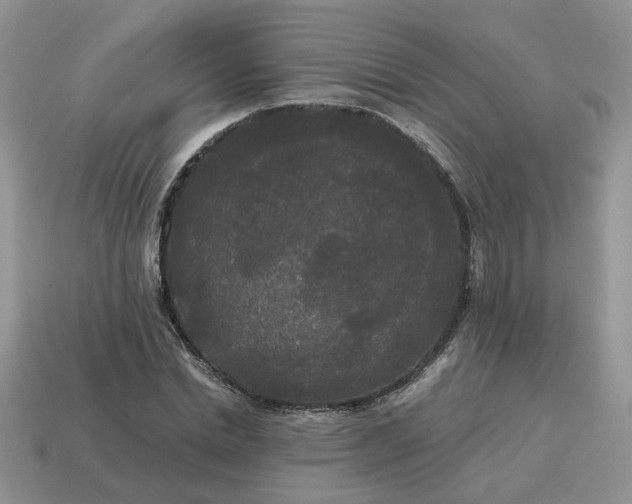 X0000114590830200911091255