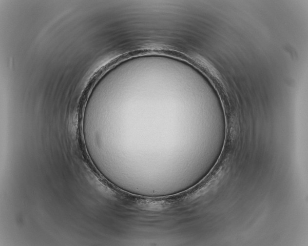 X0000114590831200911091255