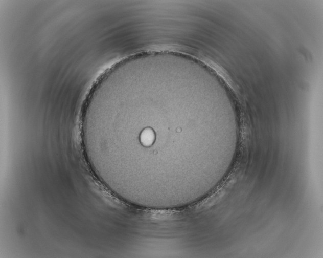 X0000114590832200911091255