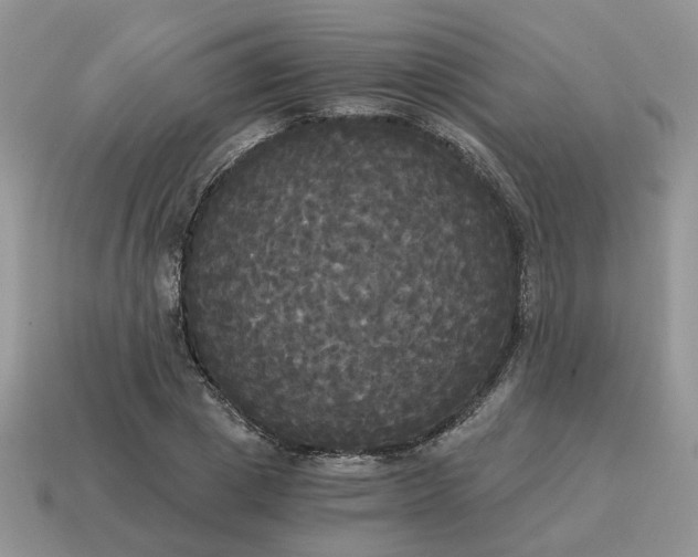 X0000114590833200911091255