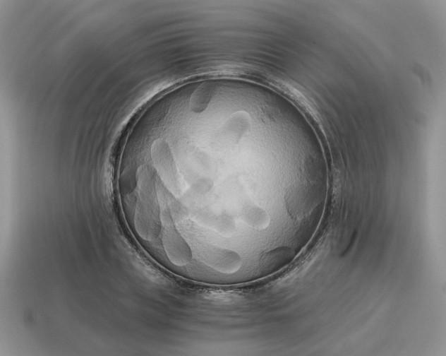 X0000114590835200911091255