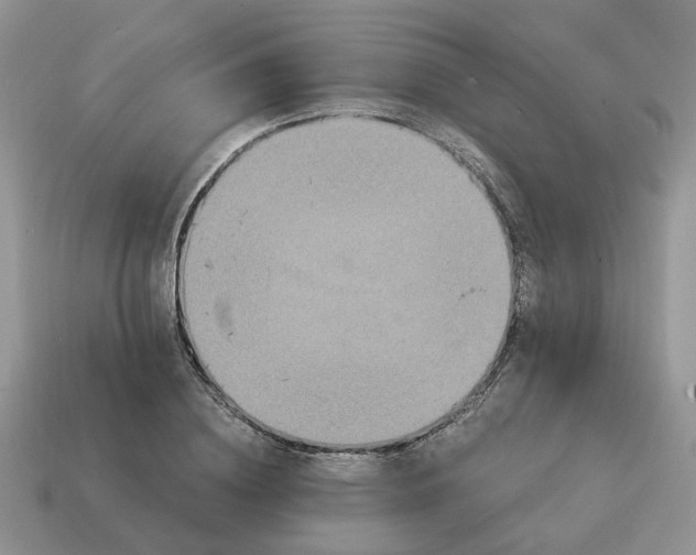 X0000114590836200911091255