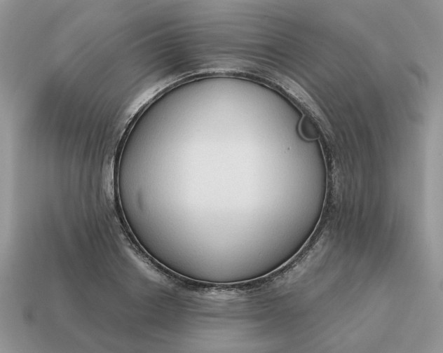 X0000114590842200911091255