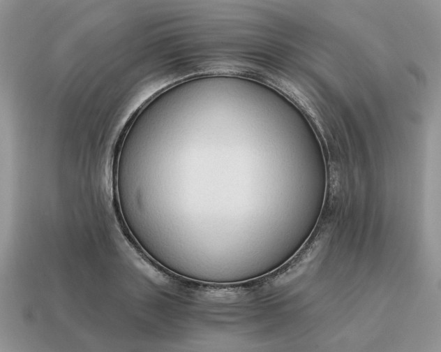 X0000114590843200911091255