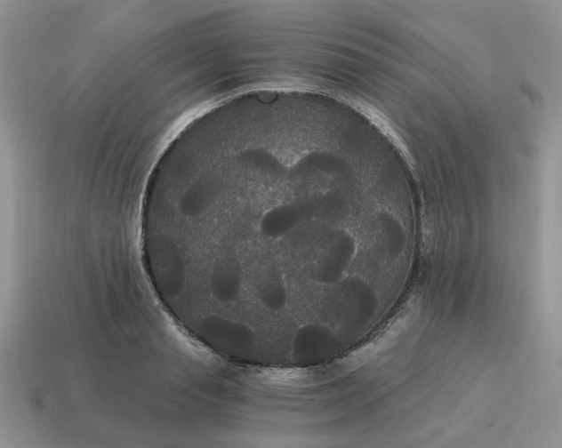 X0000114590845200911091255