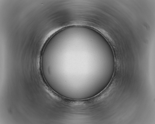 X0000114590846200911091255