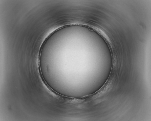 X0000114590847200911091255