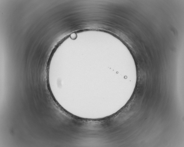 X0000114590848200911091255