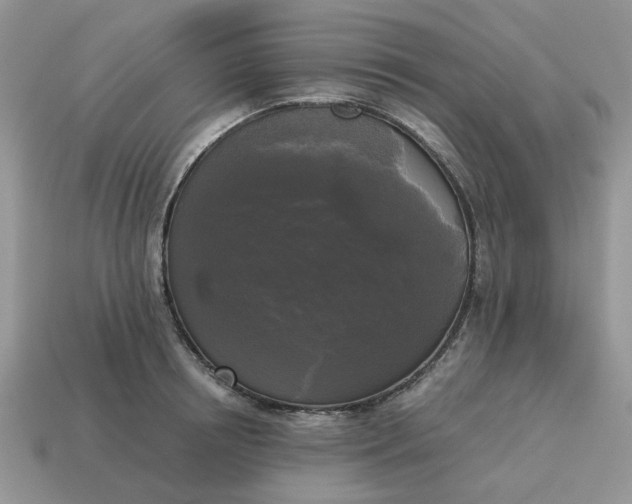 X0000114590850200911091255