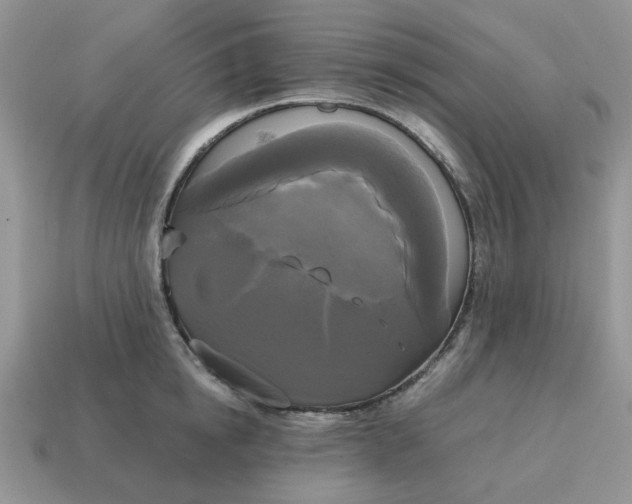 X0000114590854200911091255