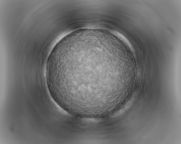 X0000114590855200911091255